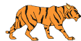 felino immagini-animate-gif
